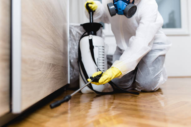 Professional Pest Control in Folcroft, PA