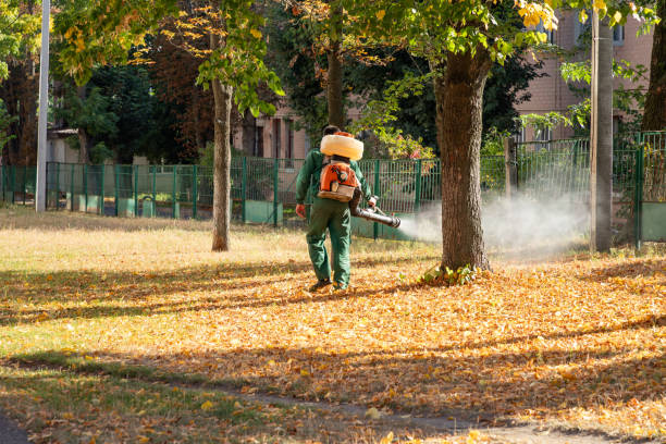 Pest Prevention Services in Folcroft, PA
